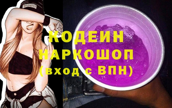 мдпв Пестово