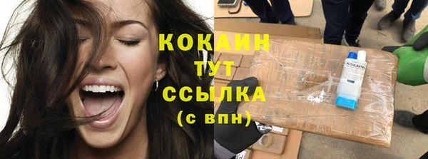 мдпв Пестово