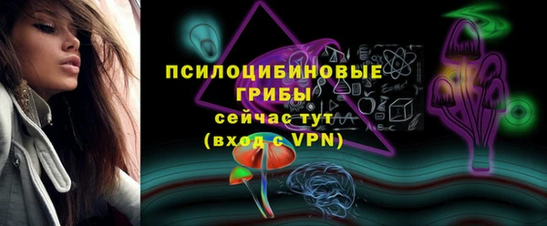 молекула духа Пересвет