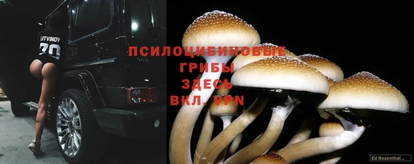 молекула духа Пересвет