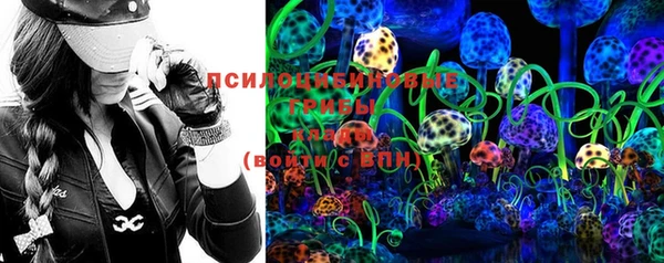 мдпв Пестово