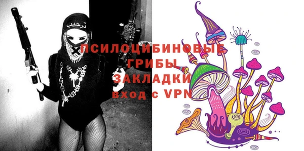спайс Калининец