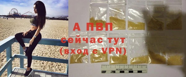 молекула духа Пересвет