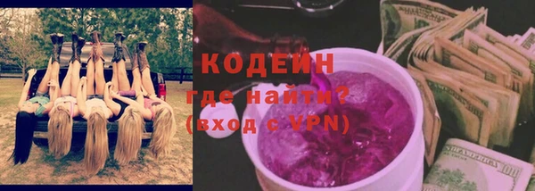 молекула духа Пересвет
