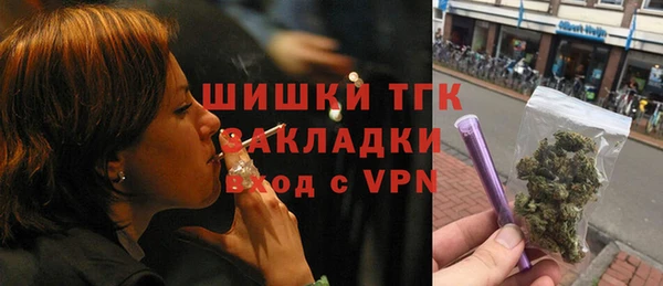 молекула духа Пересвет
