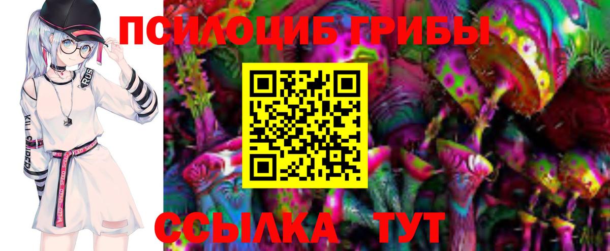 Галлюциногенные грибы мицелий  Канск 
