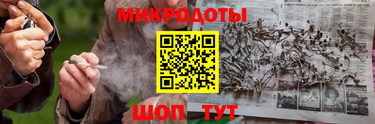 Галлюциногенные грибы Psilocybine cubensis Канск