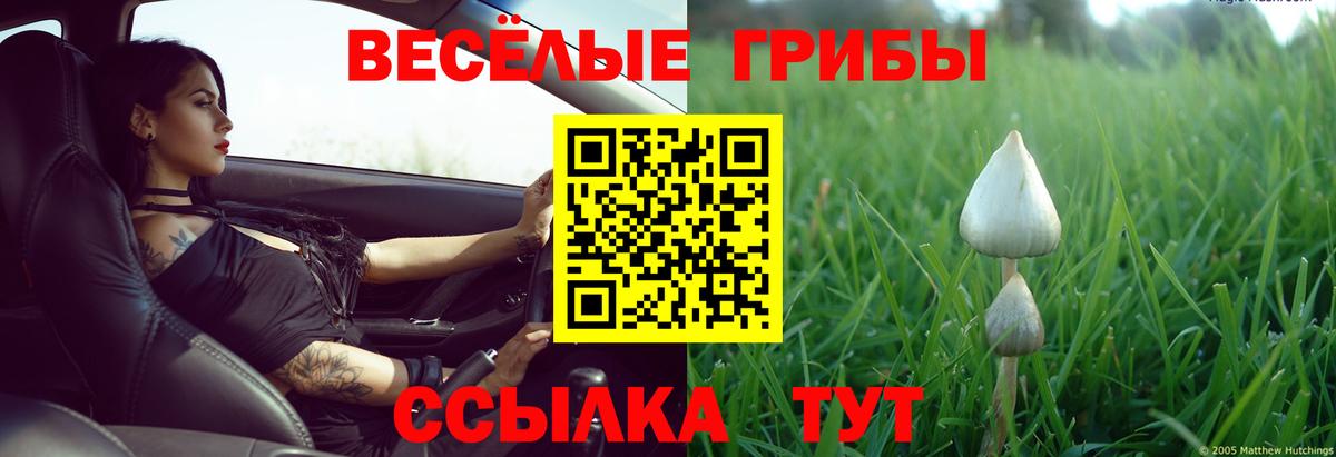 Галлюциногенные грибы мицелий  Вход с VPN  Канск  Псилоцибиновые грибы ЛСД 