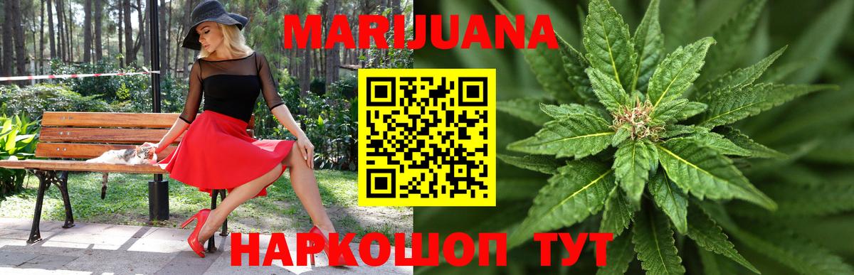 Канабис индика  МАРИХУАНА сатива  Канск  Бошки марихуана Amnesia  Бошки марихуана конопля 