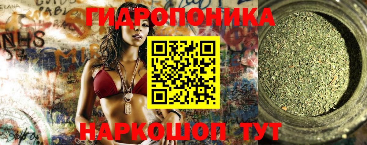 Конопля ГИДРОПОН  Каннабис AK-47  Канск  МАРИХУАНА индика  Вход с VPN  Конопля Amnesia 